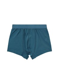 Resim Civil Boys Erkek Çocuk 2'li Boxer Set 2-10 Yaş Mavi Lacivert D2334552423w1 Lacivert - Mavi 