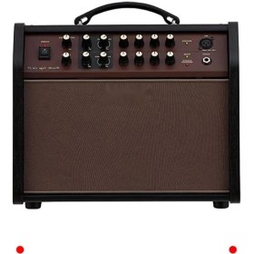 Resim MarkEntegra Fesyonel Akustik Gitar ve Vokal Amfisi 