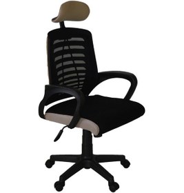 Resim Türksit Karizma File Müdür Koltuğu Plastik Ayak Siyah-krem Siyah-Krem 