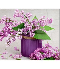 Resim Olinpa Cam Ocak Arkası Koruyucu | Lavanta 