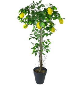 Resim Yapay Limon Ağacı 130Cm 8 Limonlu Doğal Görünümlü Siyah Plastik S 