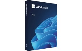 Resim Kaia Life Microsoft Windows 11 Pro HAV-00159 64 Bit (Box) Türkçe 