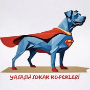 Resim Süper Köpek - Picasso Sokakta Kadın Tişört 