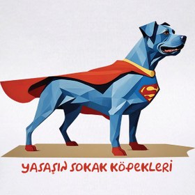 Resim Süper Köpek - Picasso Sokakta Kadın Tişört 