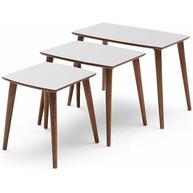 Resim Rüya Zigon Sehpa - Dest Mobilya (510015117) 