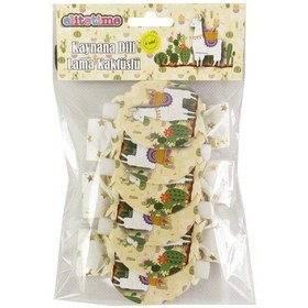 Resim Alyasüs Kaynana Dili Lama Kaktüslü 6 Adet 