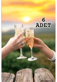 Resim Flüt Şarap Bardağı 180 Ml Kadeh Polikarbon Kırılmaz Çizilmez 6 Adet Şeffaf 