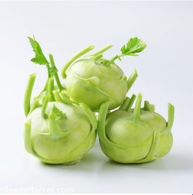 Resim Doğal Yeşil Kohlrabi Alabaş Tohumu 20 Tohum 