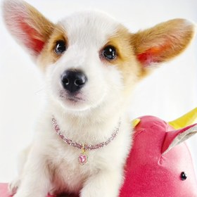 Resim Parlak Kalp Kolye Ucu, Her Türlü Sevimli Evcil Hayvan İçin Uygun 3 Boyut - Ayarlanabilir Kolye ile Parıldayan Yapay Taşlar, Kediler ve Köpekler ile Çeşitli Küçük Hayvanlar İçin Uygun - Moda ve Dekoratif Aksesuar 