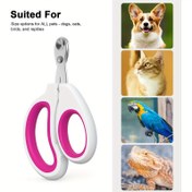 Resim 1 paket kedi tırnak makası, kedi pençe kesici, yuvarlak delikli küçük kör makaslar, evcil hayvanlar için tırnak makası, önleyici, kazaya karşı koruyucu, kediler, kuşlar, sincaplar ve gine domuzları gibi küçük hayvanlar için uygun 