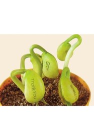 Resim hediyecik Magic Egg - Sihirli Yumurta 