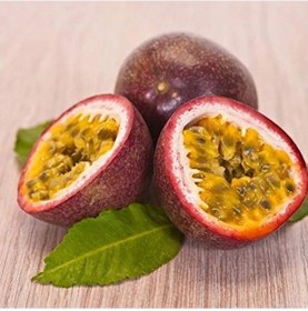 Resim Düz Ağız Çim Kesme Makası, 550 Mm Kesim Uzunluğu İle - 