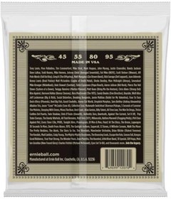 Resim AyrStore P02070 Earthwood Fosfor Bronz Akustik Bas Telleri, Ölçü 45-95 Orijinal Versiyon 