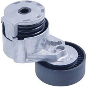 Resim Renault Clio 3 - Iıı Kütüklü Alternatör Gergi Rulmanı - 8200608550 - 8200612619 - Letendeur 