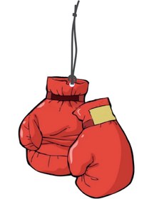 Resim Genel Markalar Boks Eldiveni Görselli Dekoratif Oto Kokusu ve Aksesuar Seti 