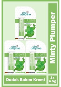 Resim Cire Aseptine Mentol Dudak Bakım Kremi 4,5 Gr 3 Adet 