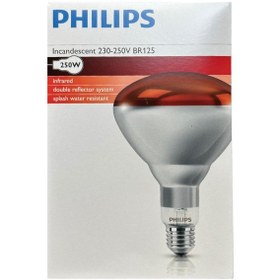 Resim 250w Kızılötesi Infrared Hayvan Isıtma Ve Fizik Tedavi Lambası, Kırmızı Işık, Br125 