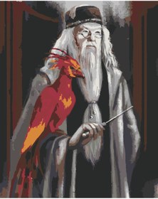 Resim wombhobby DUMBLEDORE VE ANKA KUŞU Sayılarla Boyama Seti 80X100 Cm Çerçeveli (Kasnağa ) Gerili 