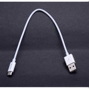 Resim Zore 25 Cm Type-C Usb Kablo (525288026) 