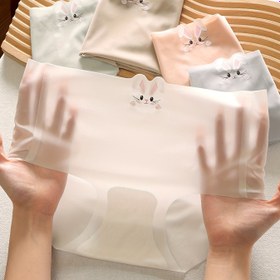 Resim 5 adet Tavşan Desenli Dikişsiz Slip, Seksi Rahat Nefes Alabilen Esnek İç Çamaşırı, Kadın İç Giyim & İç Çamaşırı 
