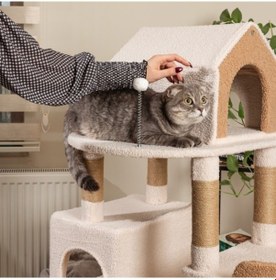 Resim Raikou Karamel Kedi Ağacı 3 Katlı Tırmalama Direği Yatak ve Oyuncaklar 