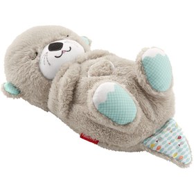 Resim Fisher Price Uyku Arkadaşı Su Samuru FXC66 