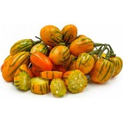 Resim Striped Tago Patlıcan Tohumu 15 Tohum 