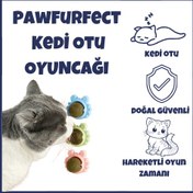 Resim PawFurfect Kedi Otu 