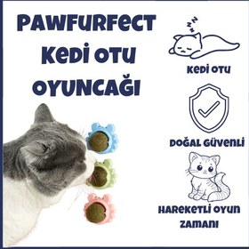 Resim PawFurfect Kedi Otu 