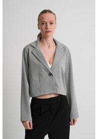 Resim Alexander Gardi Alexandergardı Astarsız Crop Blazer Ceket Açık Gri 