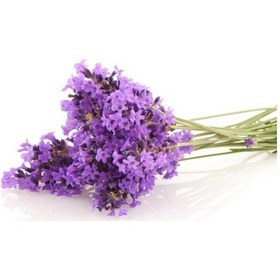 Resim Sabun Esansı Lavanta Kokulu 15 Cc 