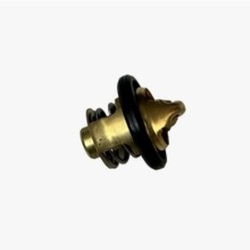 Resim Termostat Yaylı Civalı Isı Müşürü Cf Moto Nk250 E4 
