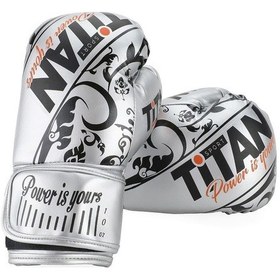 Resim Silver İşlemeli Model Boks Eldiveni Çok Renkli 