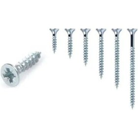 Resim Sunta Vidası 4x40 Dın:7505 100 Adet 