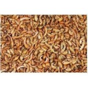 Resim Gammarus Kurutulmuş Karides Balık Kaplumbağa Yemi 250 G 