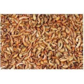 Resim Gammarus Kurutulmuş Karides Balık Kaplumbağa Yemi 250 G 