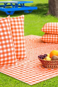 Resim AfgTech Piknik Seti 170x170cm Piti Kareli Piknik Örtüsü, 40x40cm 4 Adet Minder Turuncu 