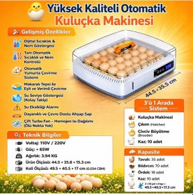 Resim 35 Yumurta Kuluçka Makinesi-en Yeni Arena Tasarımı İlhamı 