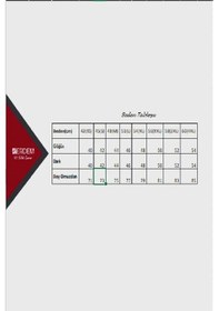 Resim Erdem Erkek Likralı Klasik Askılı Atlet 1116 - 3 Adet 001 