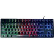 Resim Piranha 2350 RGB Kablolu Gaming Klavye 