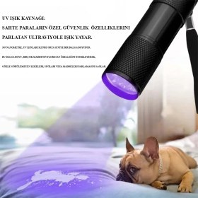 Resim Ultraviole Para Kontrol Işığı WT-302 