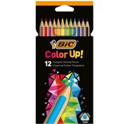Resim Bic Kuru Boya Color Up 12 Lİ 950527 