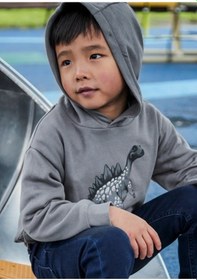 Resim Mayoral Gri Erkek Çocuk Dinazor Baskılı Kapüşonlu Sweatshirt 4407 Gri 