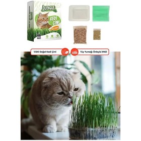 Resim Özel Gübreli %100 Doğal Kedi Çimi Fileli Ve Kutulu Tüy Yumağı Önleyici 
