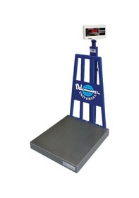Resim Dw 600 KG x 50 Gr 80 x 90 Tartım Baskülü 