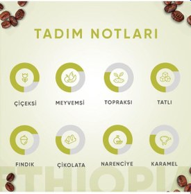 Resim Addis Ababa Coffee Etiyopya Single Origin Kahve 250 G Moka Pot 