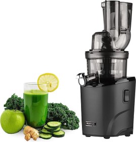 Resim Kuvings REVO830 Slow Juicer 