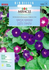 Resim Miracle Karışık FielGRown Kahkaha Çiçeği Tohumu 10 Tohum 