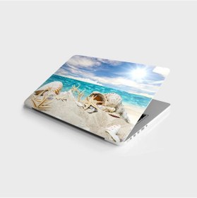 Resim Laptop Sticker Bilgisayar Notebook Pc Kaplama Etiketi Seashells 