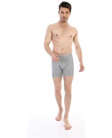 Resim Çift Kaplan 855 Uzun Erkek Boxer - Gri - 48 Gri 